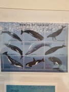 Gambia 1996 Mi 2252-69 ark  wale wieloryb  czysta idealna pozycja 