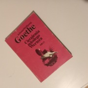 Książka Cierpienia młodego Wertera-Goethe