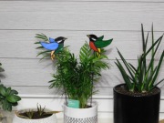 Ptaszki witrażowe dekoracja okna dwie sztuki