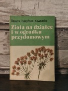 Zioła na działce i w ogródku przydomowym Danuta Tyszyńska - Kownacka