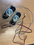 Głośniki telewizora Manta LED4301