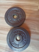obciążenie żeliwne Hop-Sport 2 x 1,25 kg o średnicy 31mm