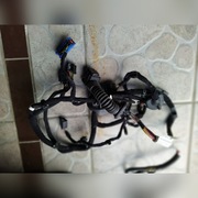 wiązka elektryczna drzwi przednich alfa giulia