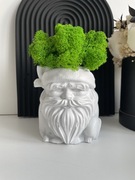 Dekoracja betonowa z chrobotkiem