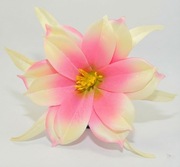 Ekskluzywna Główka Dalii–Różowa Jutrzenka– Premium DIY