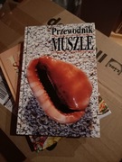 Przewodnik Muszle Rafał 