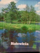 Białowieża Rzeczka Narewka Staw
