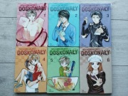 Absolutnie doskonały tomy 1-6