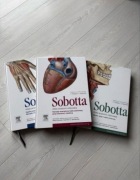 Sobotta Atlas anatomii człowieka