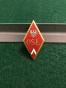 Odznaka absolwentka OSŁ Wz 52