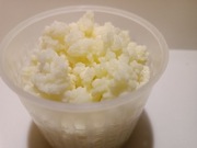 Grzybek tybetański kefir 25gram