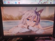 Monitor hp 20cale display port 