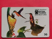 BRAZYLIA  /  STARA  /     -  Karta telefoniczna  /  PTAKI