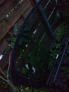 Szyba tylna BMW E36 compact 