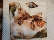 Poszewka na jaśka 45x45