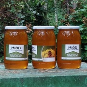 MIÓD NAWŁOCIOWY 2025 R.,  32 ZŁ/KG, SPADZIOWA NAWŁOĆ LEŚNA