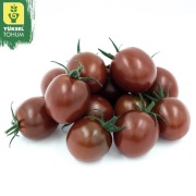 Pomidor Chocolina F1 - Nasiona Holenderskie