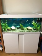 Akwarium 200L z szafką i lampą