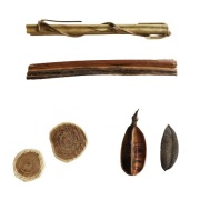 Zestaw dekoracyjny do formikarium mrówki (5)