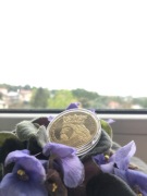 Kazimierz Wielki 1310-1370