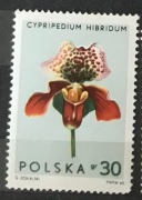 Kolekcja 4 znaczków Polska PRL Storczyki 1965 r.