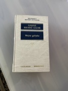 Wojna Galijska Juliusz Cezar