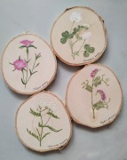 Komplet podkładek pod kubez z motywem roślin łąkowych