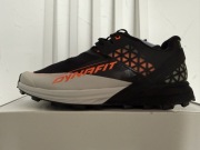 Męskie buty Dynafit ALPINE DNA rozmiar 42,5