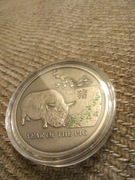 Niue Island Rok świni year pig 2006 1 dollar srebro 925 kolor ładna oksyda
