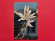 GRECJA / STARA /    - Karta telefoniczna / Niski nakład / ODMIANA