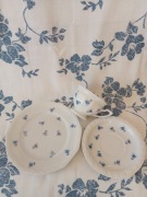 TRIO filiżanka Rosenthal Maria niebieskie różyczki