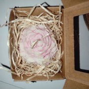 Świeca sojowa "piwonia S" "Amber Whisper", różowa, Robea 