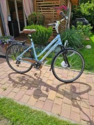 Rower Damski TREK T-300