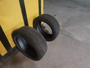 Opony zimowe  Nexen Winguard Sport 2 225/50 R17 