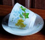 Kolekcjonerska Filiżanka Syg.Stanowice koło Strzegomia Śląsk 1882-1890