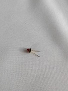 Radmor seria 5102 dioda wskażnika.