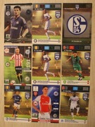 KARTY PIŁKARSKIE PANINI  FIFA 365 - ZESTAW 9 SZTUK  (4)