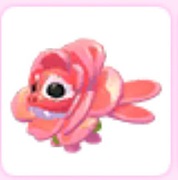 Rose dragon adopt me roblox pet