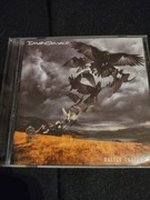 David Gilmour i jego 5 album studyjny z 2015 r., releted prog UK 