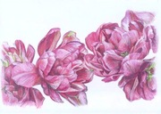 Kwiaty w rozkwicie, oryginalny obraz kredkami format A4 Ręcznie wykonana