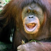 Teleportacja do ohaio gwarantowana cena (polecane)