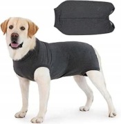 Body dla psa po operacji z zamkiem M