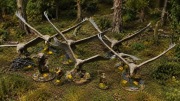 Radagast Alliance- armia gotowa do gry great eagles 