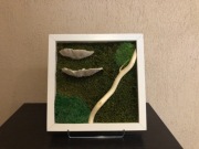 Obraz mały mech płaski,poduszkowym+rośl.natur