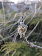 Wisiorek handmade wire wrapping 