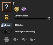 STEAM 2025, CS2 Prime, 40 gier