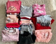 Zestaw ubrań dziewczynka 110/116