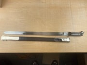 Bagnet duński 1867-93 