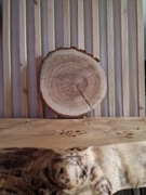 Plaster Drewna Dąb 40 cm Szlifowany Suchy Stroik Ozdoba Wesele Tort Ser DIY