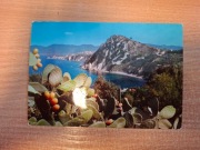 Pocztówka Rzym Włochy Elba Zatoka Montebello opuncje